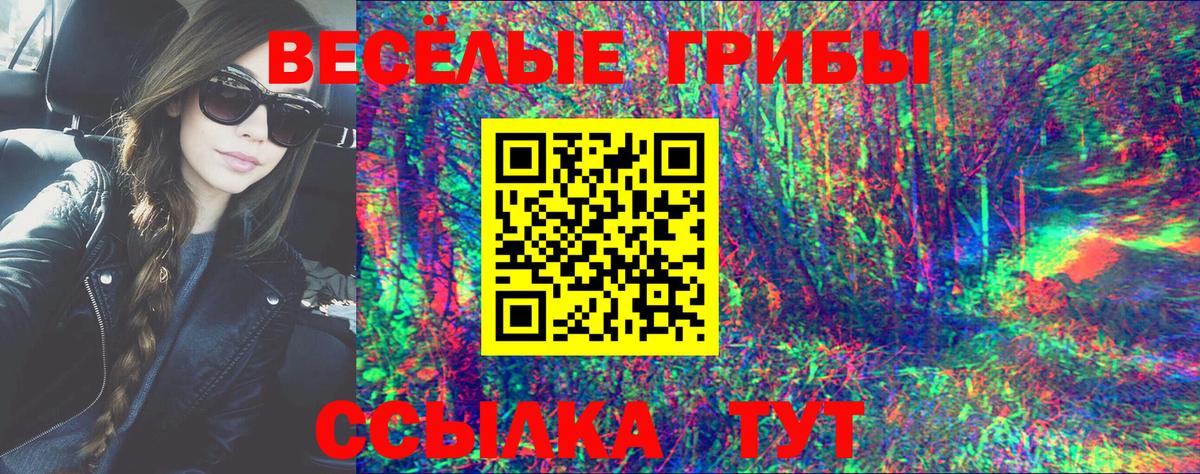 Галлюциногенные грибы GOLDEN TEACHER Ленинск-Кузнецкий